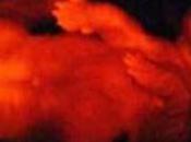 Ruppy, perro fluorescente