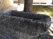 fuente Tamajón