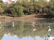 laguna fuente reabrirá puertas partir lunes