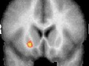 Porque individuos perciben paso tiempo manera diferente