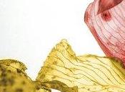 atardecer, Nora Roberts