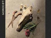 ovnis estrenan Noroeste