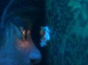 Festival Sitges 2020