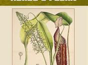 Fantastic Herbs Flora Pazuzu Press
