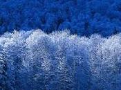 aprende JUZGAR, puerta sagrada CONSCIENCIA UNIVERSAL