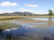 Nuevas ayudas para creación, mejora ampliación infraestructuras públicas zonas rurales