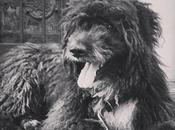 nombres perros