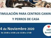Estimulación para centros caninos perros casa