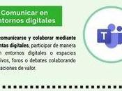 competencias profesional digital Talio