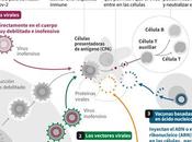 Vacuna Pfizer contra COVID-19