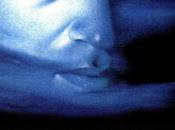 MUERTE MIKEL Imanol Uribe