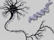 Inteligencia Artificial basada humano