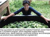 Mitzvá salvaría planeta: judíos deberían considerar vegetarianismo (Daniel Brook, julio 2009)