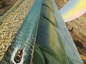 Great expectations paradigms