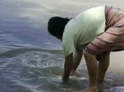 latrocinio Amazonia: Amazonia peruana