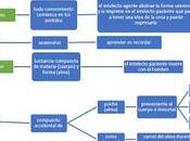 Introducción filosofía: Método socrático (mayéutica)