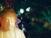 Avisos para diciembre 2020