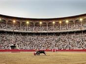 ¿Por usamos expresiones taurinas sociedad cada reacia toros?