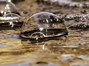 Vivimos burbujas culturales explica muchas cosas