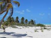 Como Isla Blanca desde Cancún