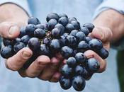 Soñar uvas