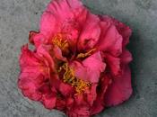 Primera flor caída.