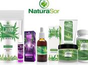 Nace Naturasor, primera industria global 100% nacional cannabis terapéutico