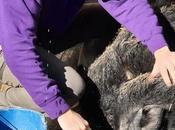 Granjas Escuelas Comunidad Madrid (AGECAM), borde quiebra pandemia