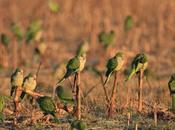 Noria Berra (agosto 2020)