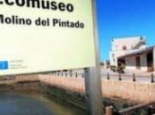 icono marisma