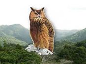 Agüeros lomerío escambradeño