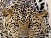 Poder mente. ¿Dominas concentración respiración?