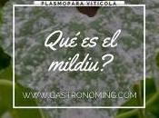 ¿Qué Mildiu?