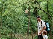 Plantar árbol, escribir libro, tener hijo