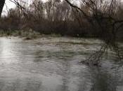 Jarama otra desbordado