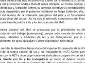 Acuerdos asamblea general sindicato mexicano electricistas (sme)