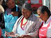 Acerca orientación legal comunidades indígenas edoméx