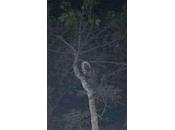 Nuevo León, tierra "brujas"