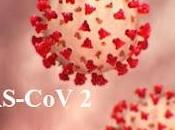 SARS-CoV-2: Busca Virus Fantasma