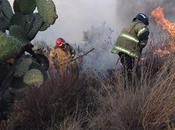 trabajo intermunicipal cuerpos bomberos permitió sofocar incendio purificación