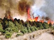 Atiende incendio forestal toluca