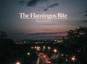 Flamingos Bite estrenan Roads