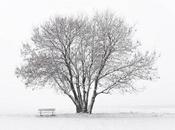 Interfaces Tiempo muerto (2021)