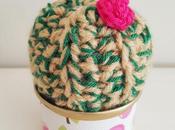 Cactus twenty- eight