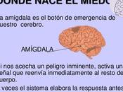 salud mental, cuarta