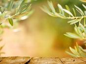 olivo, planta ornamental popular
