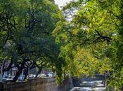 Cordoba Ciudad. Destino Renovado