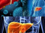 Síntomas tener hepatitis cómo prevenirla