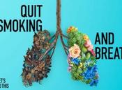 Mejores chicles nicotina para dejar fumar