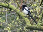 sencilla pero entretenida salida primaveral